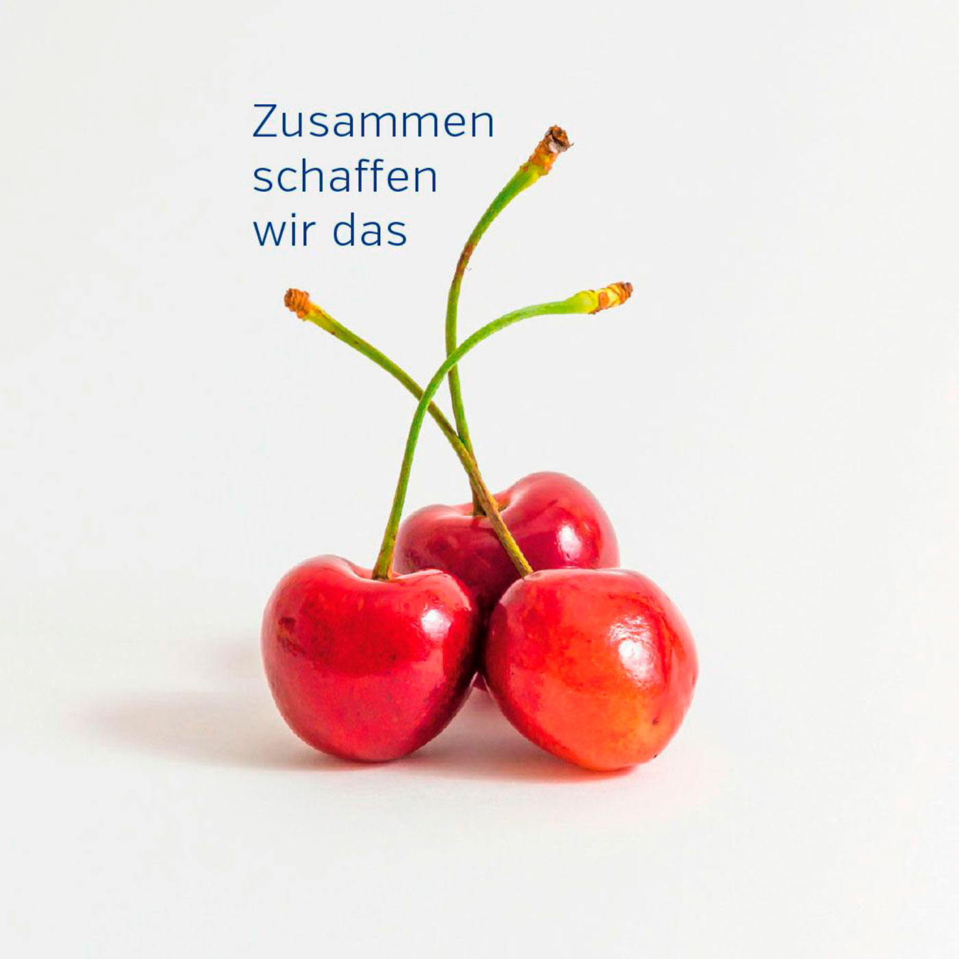 Gute Laune Block Kirschen Zusammen schaffen wir das