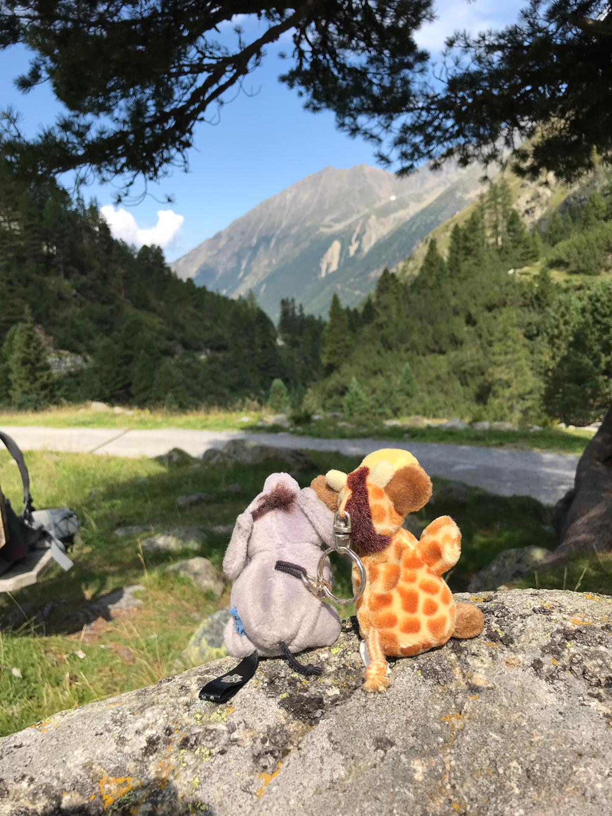 urlaub mit Kindern Wandern  zwei Plüschtiere sitzen vor Bergen