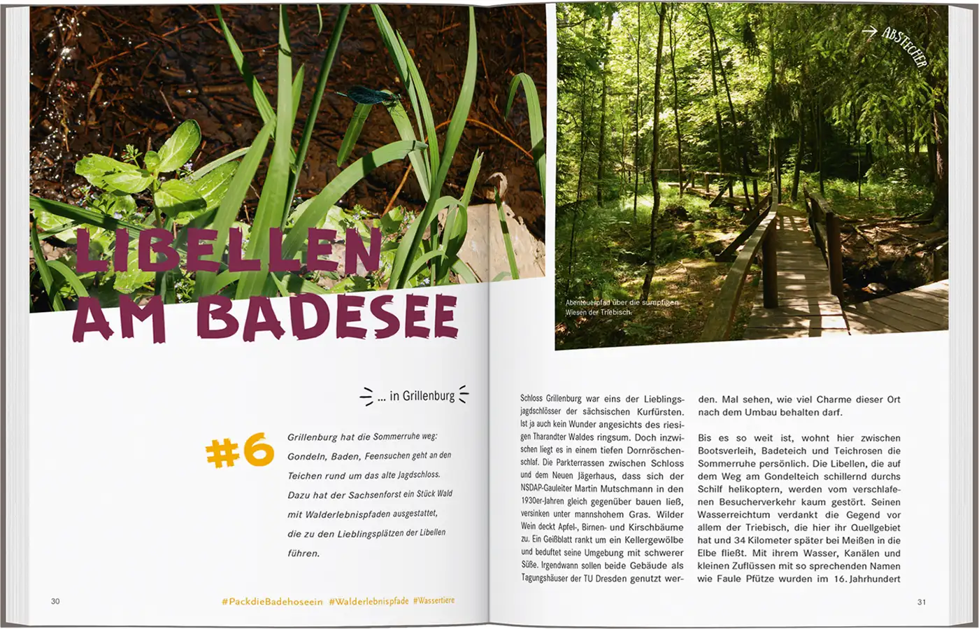 Am Badesee Freital Buch