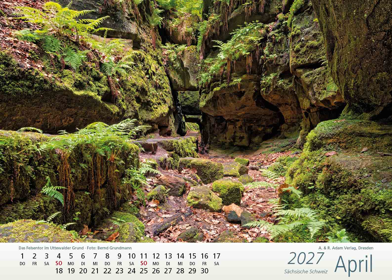 Kalender Sächsische Schweiz 2027 April Felsentor Uttewalder Grund