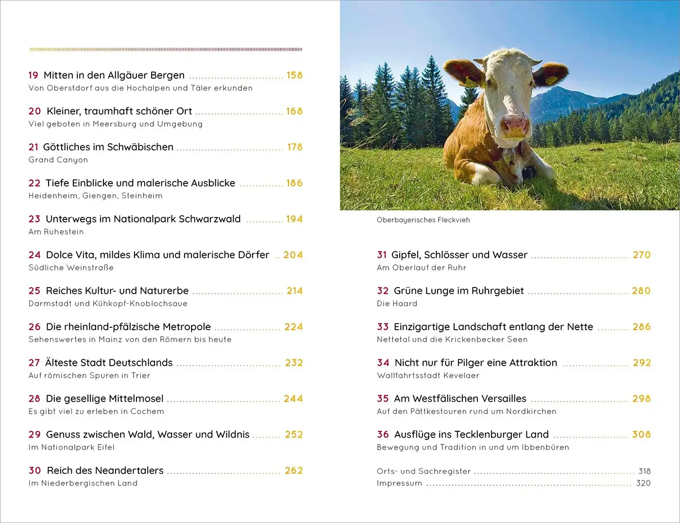 Inhalt Buch Wohnmobil in Deutschland Kuh auf Wiese