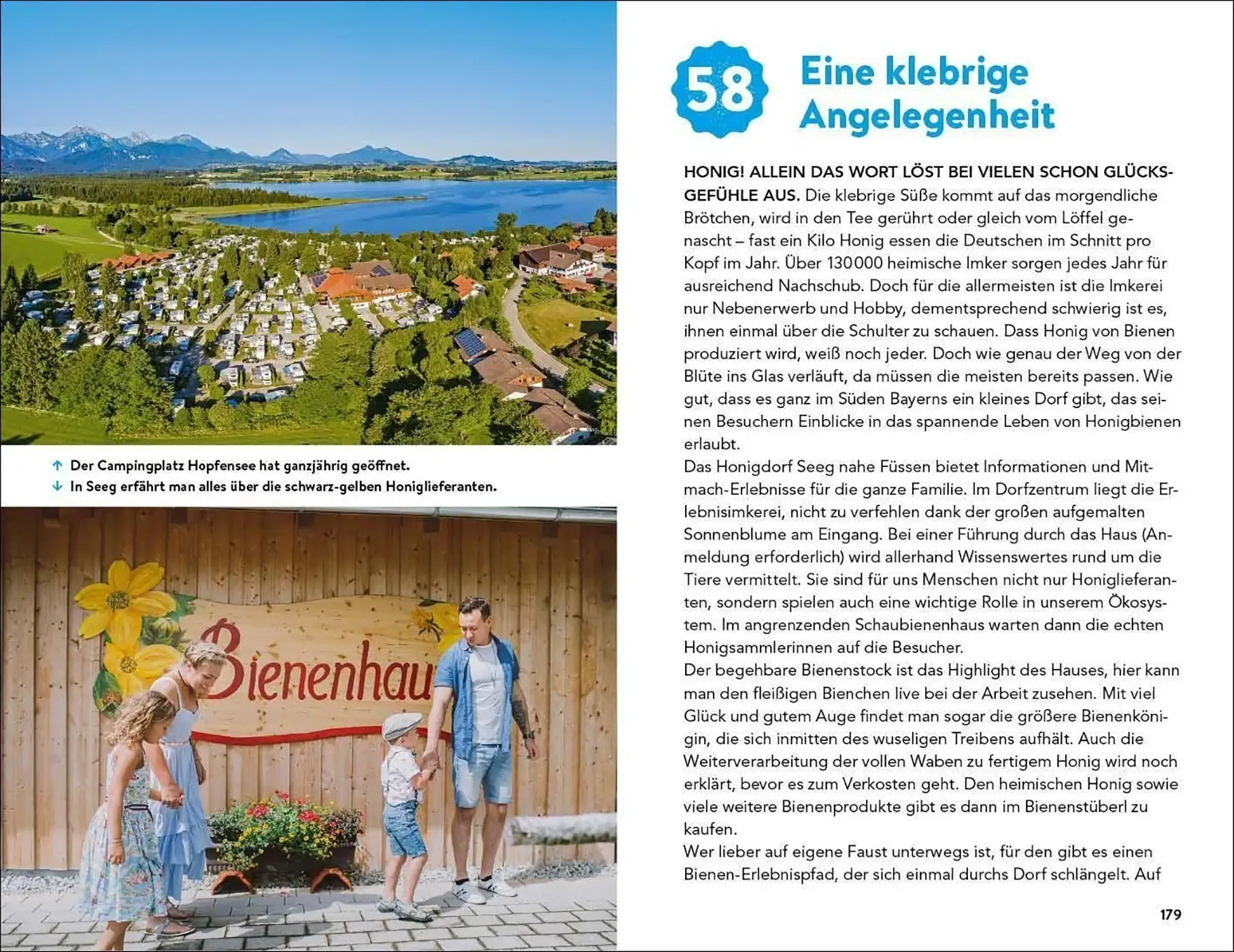 Buch Campingplatz Bienenhaus Honig